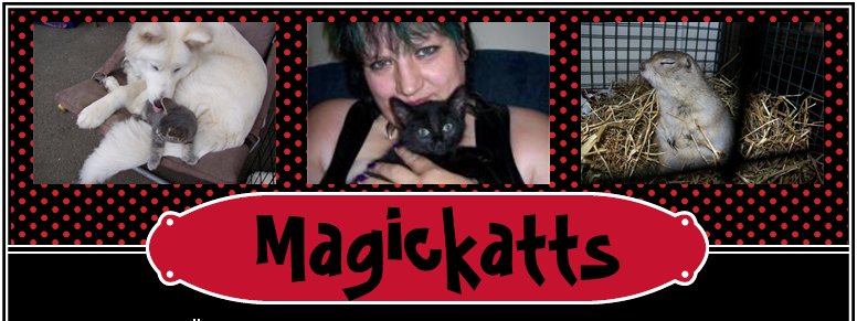 http://www.magickatts.co.uk